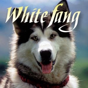 The white fang